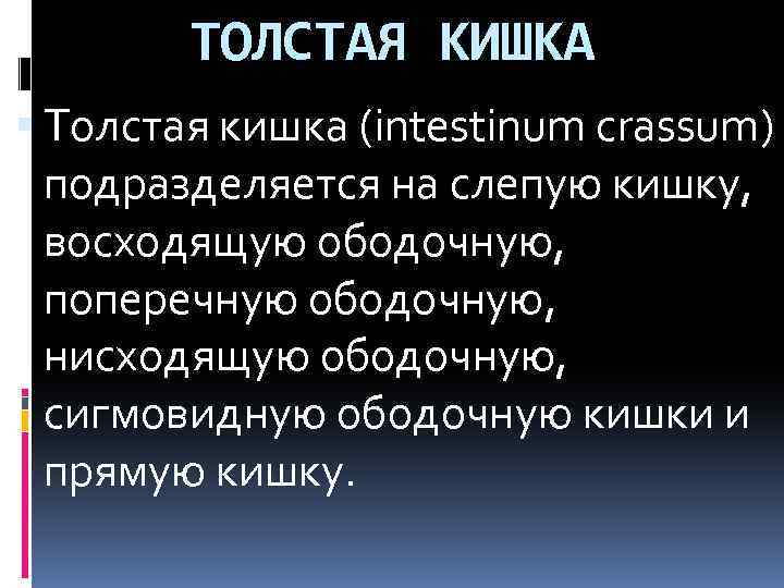 ТОЛСТАЯ КИШКА Толстая кишка (intestinum crassum) подразделяется на слепую кишку, восходящую ободочную, поперечную ободочную,