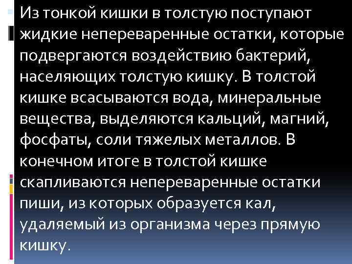  Из тонкой кишки в толстую поступают жидкие непереваренные остатки, которые подвергаются воздействию бактерий,