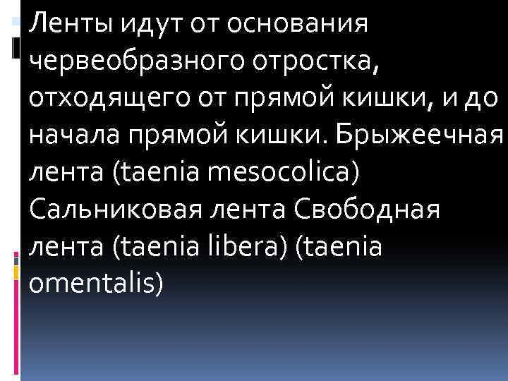  Ленты идут от основания червеобразного отростка, отходящего от прямой кишки, и до начала