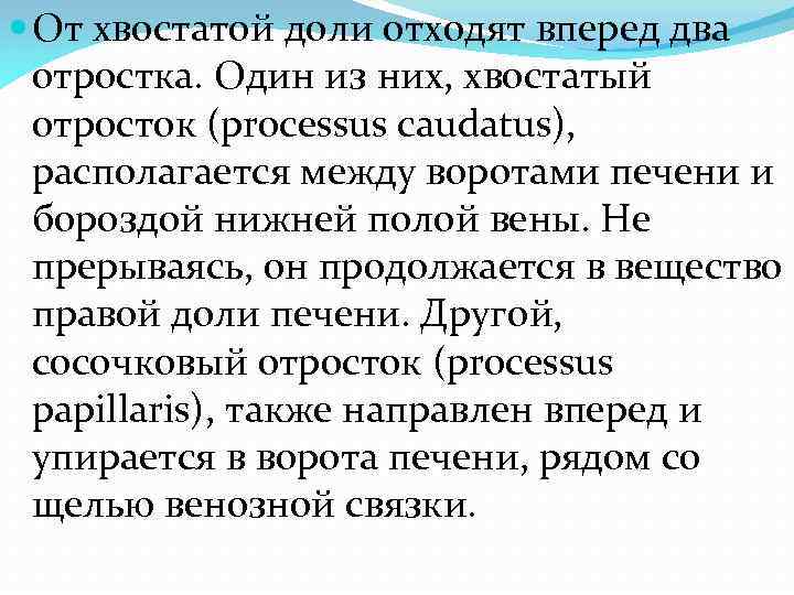  От хвостатой доли отходят вперед два отростка. Один из них, хвостатый отросток (processus