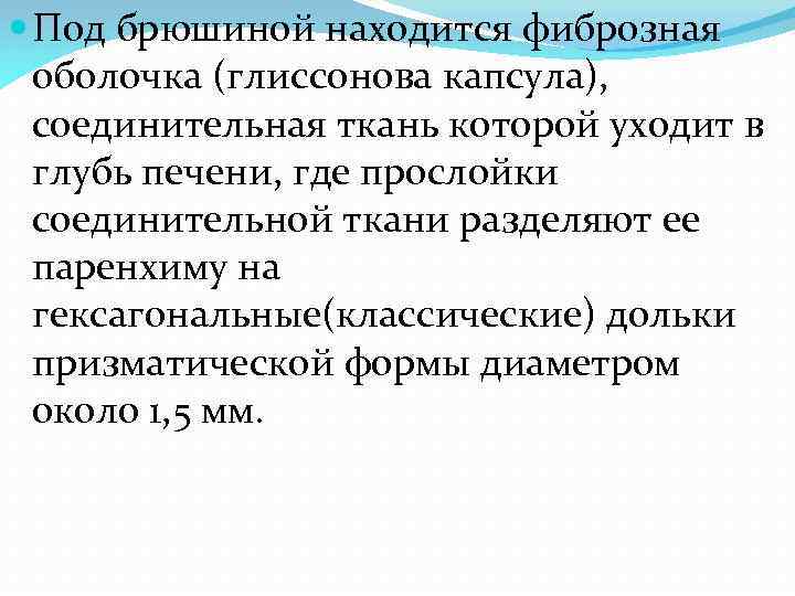  Под брюшиной находится фиброзная оболочка (глиссонова капсула), соединительная ткань которой уходит в глубь