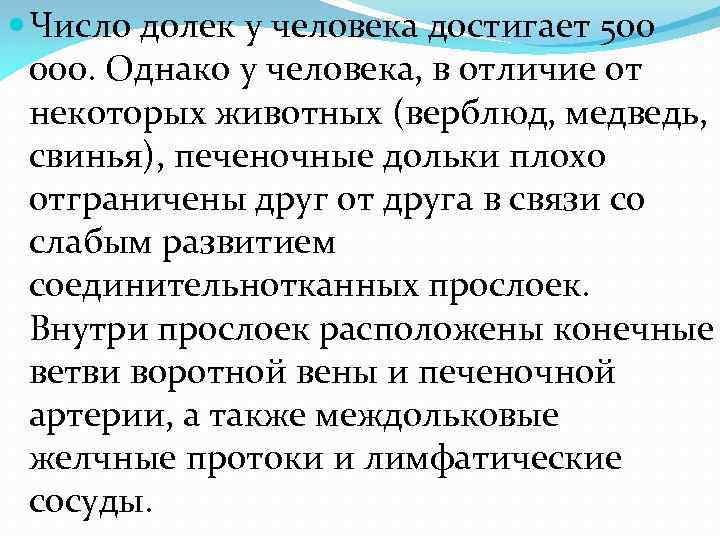  Число долек у человека достигает 500 000. Однако у человека, в отличие от