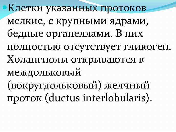  Клетки указанных протоков мелкие, с крупными ядрами, бедные органеллами. В них полностью отсутствует