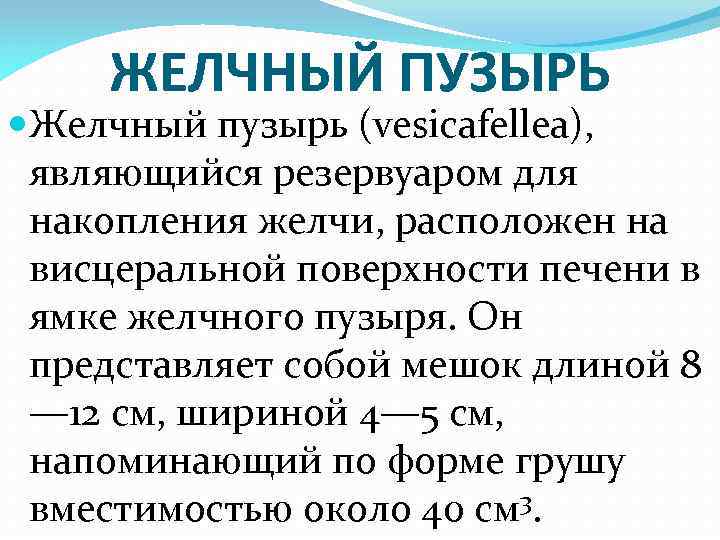 ЖЕЛЧНЫЙ ПУЗЫРЬ Желчный пузырь (vesicafellea), являющийся резервуаром для накопления желчи, расположен на висцеральной поверхности