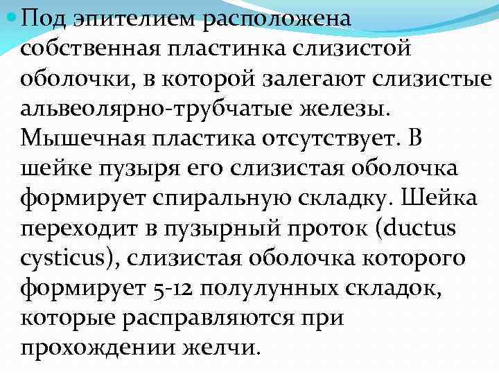  Под эпителием расположена собственная пластинка слизистой оболочки, в которой залегают слизистые альвеолярно-трубчатые железы.