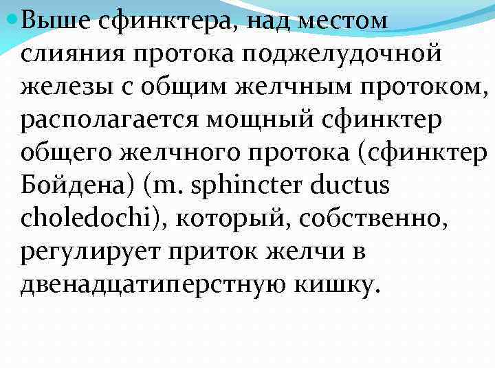  Выше сфинктера, над местом слияния протока поджелудочной железы с общим желчным протоком, располагается