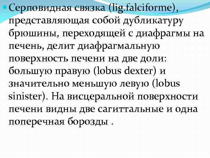  Серповидная связка (lig. falciforme), представляющая собой дубликатуру брюшины, переходящей с диафрагмы на печень,