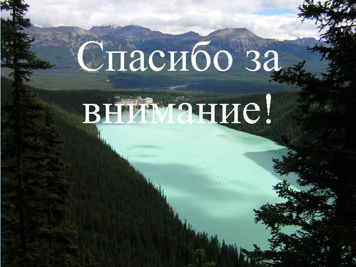 Спасибо за внимание! 