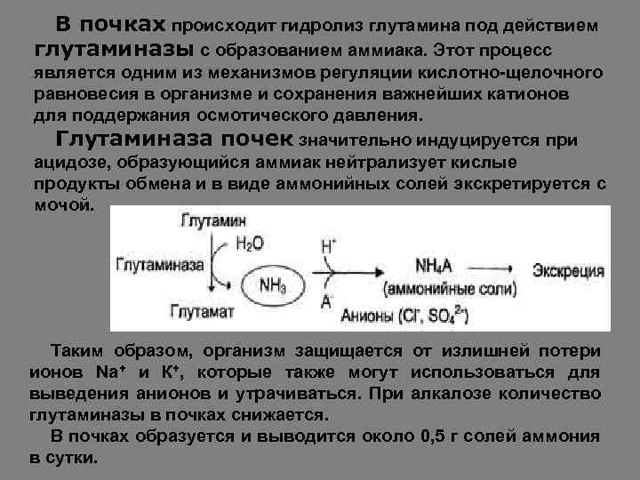 В реакции серная кислота аммиак образуется