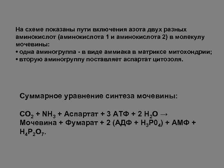 На схеме показаны пути включения азота двух разных аминокислот (аминокислота 1 и аминокислота 2)