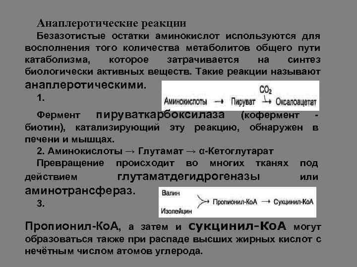 Анаплеротические реакции Безазотистые остатки аминокислот используются для восполнения того количества метаболитов общего пути катаболизма,