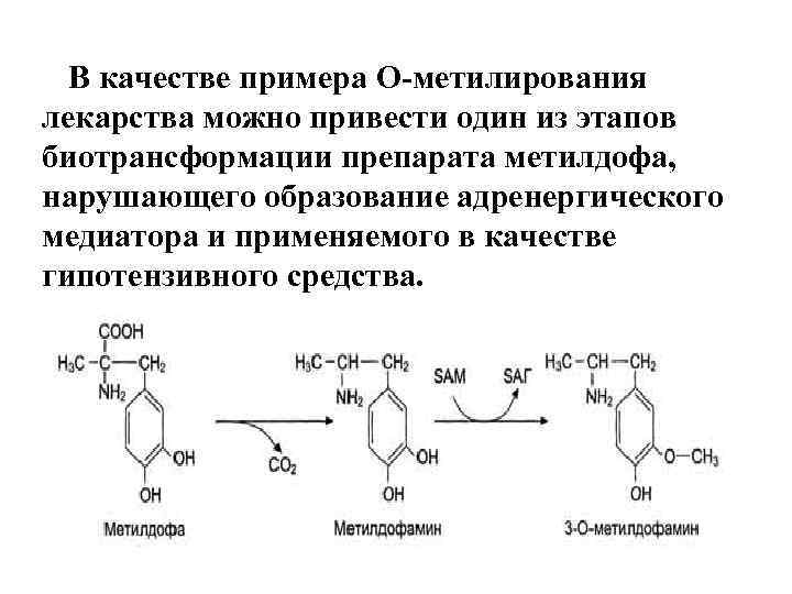 В качестве примера О-метилирования лекарства можно привести один из этапов биотрансформации препарата метилдофа, нарушающего