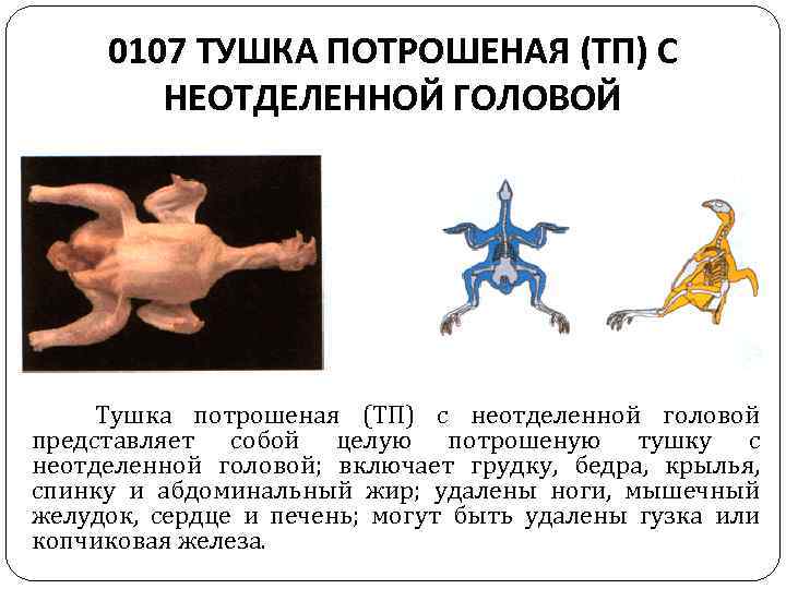 0107 ТУШКА ПОТРОШЕНАЯ (ТП) С НЕОТДЕЛЕННОЙ ГОЛОВОЙ Тушка потрошеная (ТП) с неотделенной головой представляет