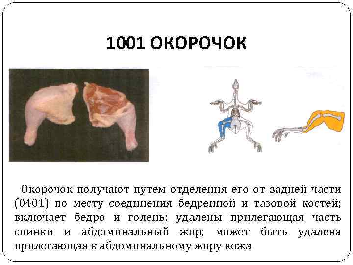 1001 ОКОРОЧОК Окорочок получают путем отделения его от задней части (0401) по месту соединения