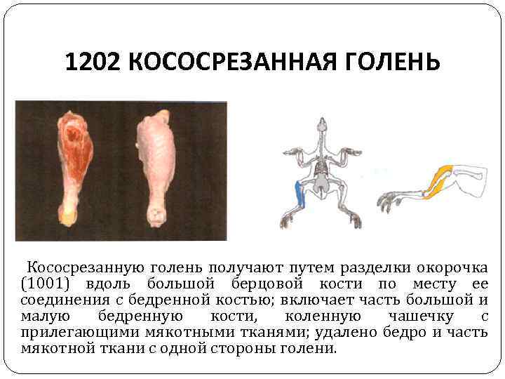 1202 КОСОСРЕЗАННАЯ ГОЛЕНЬ Кососрезанную голень получают путем разделки окорочка (1001) вдоль большой берцовой кости