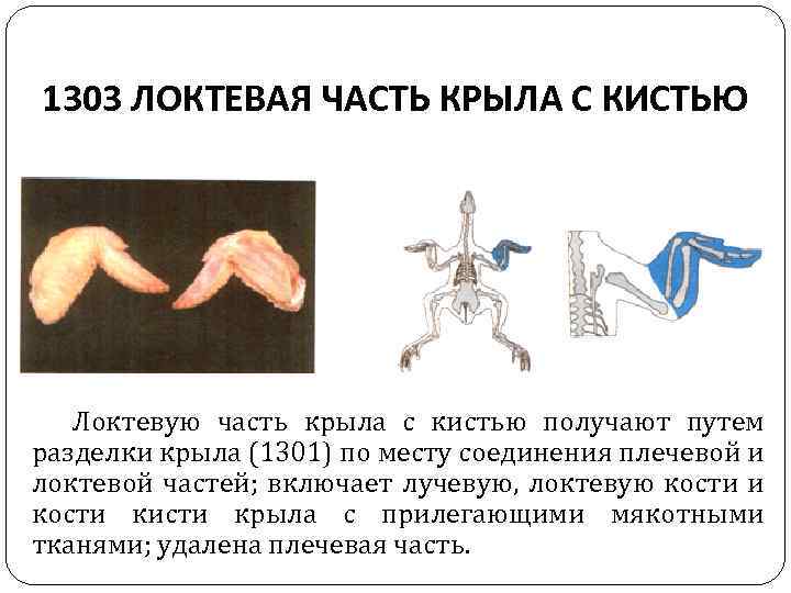 1303 ЛОКТЕВАЯ ЧАСТЬ КРЫЛА С КИСТЬЮ Локтевую часть крыла с кистью получают путем разделки