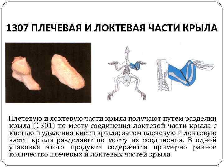 1307 ПЛЕЧЕВАЯ И ЛОКТЕВАЯ ЧАСТИ КРЫЛА Плечевую и локтевую части крыла получают путем разделки