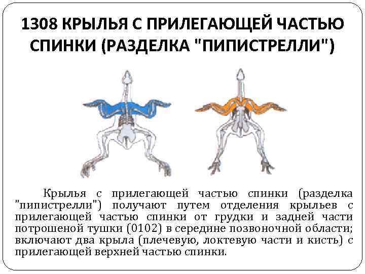 1308 КРЫЛЬЯ С ПРИЛЕГАЮЩЕЙ ЧАСТЬЮ СПИНКИ (РАЗДЕЛКА 