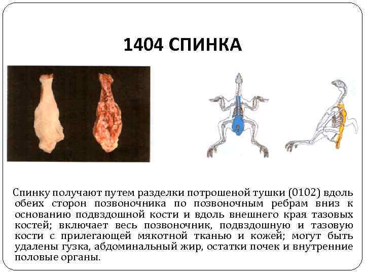 1404 СПИНКА Спинку получают путем разделки потрошеной тушки (0102) вдоль обеих сторон позвоночника по