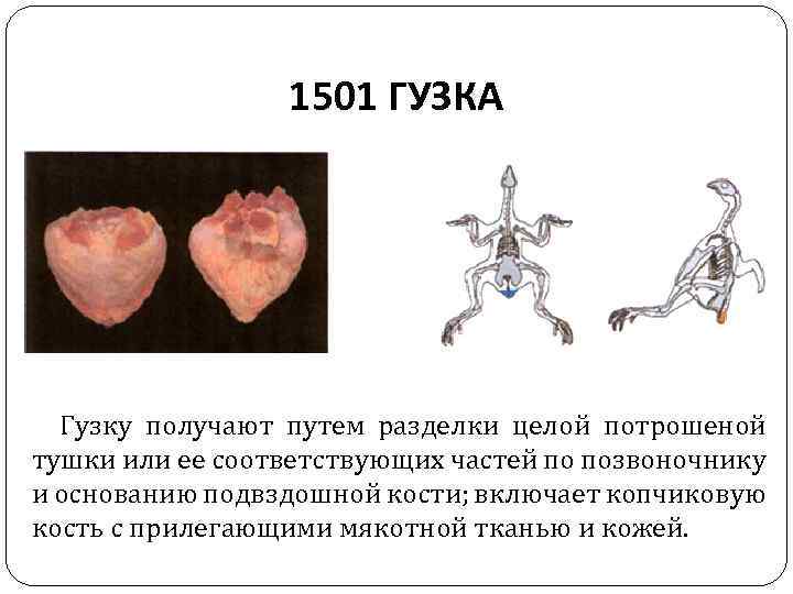 1501 ГУЗКА Гузку получают путем разделки целой потрошеной тушки или ее соответствующих частей по