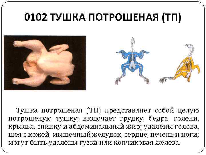 0102 ТУШКА ПОТРОШЕНАЯ (ТП) Тушка потрошеная (ТП) представляет собой целую потрошеную тушку; включает грудку,