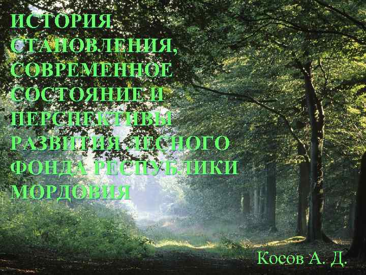 ИСТОРИЯ СТАНОВЛЕНИЯ, СОВРЕМЕННОЕ СОСТОЯНИЕ И ПЕРСПЕКТИВЫ РАЗВИТИЯ ЛЕСНОГО ФОНДА РЕСПУБЛИКИ МОРДОВИЯ Косов А. Д.