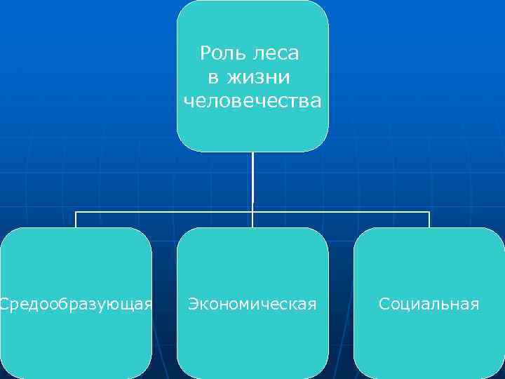 Средообразующая Роль леса в жизни человечества Экономическая Социальная 