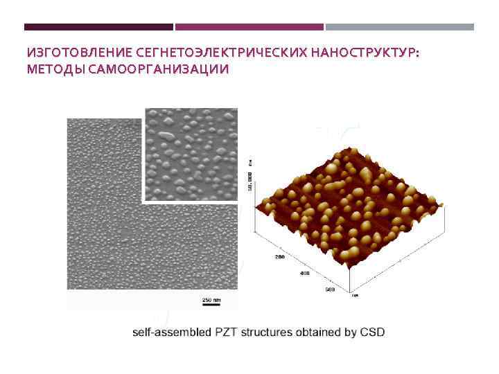 ИЗГОТОВЛЕНИЕ СЕГНЕТОЭЛЕКТРИЧЕСКИХ НАНОСТРУКТУР: МЕТОДЫ САМООРГАНИЗАЦИИ 