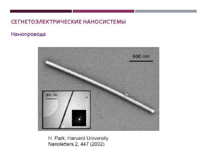 СЕГНЕТОЭЛЕКТРИЧЕСКИЕ НАНОСИСТЕМЫ Нанопровода 