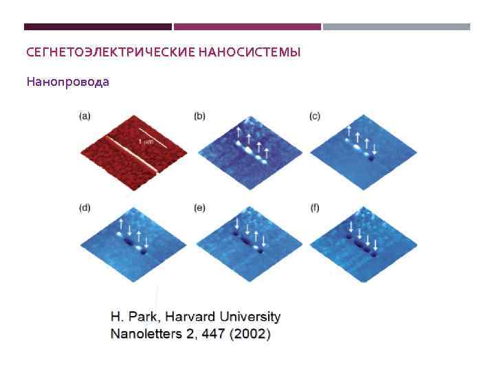 СЕГНЕТОЭЛЕКТРИЧЕСКИЕ НАНОСИСТЕМЫ Нанопровода 