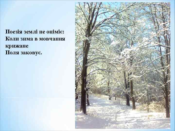 Поезія землі не оніміє: Коли зима в мовчання крижане Поля заковує. 
