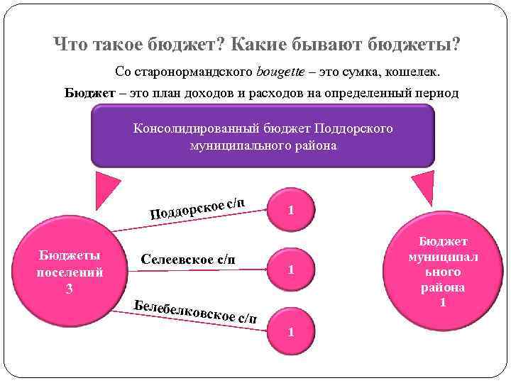 Что такое бюджет? Какие бывают бюджеты? Со старонормандского bougette – это сумка, кошелек. Бюджет