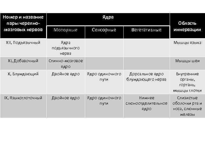 Номер и название пары черепномозговых нервов Ядра Моторные Сенсорные Вегетативные Область иннервации XII, Подъязычный