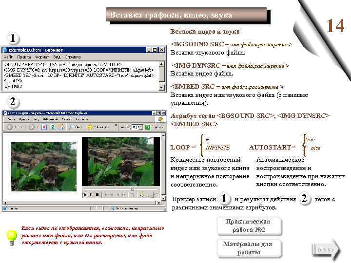 Вставка графики, видео, звука 14 Вставка видео и звука 1 <BGSOUND SRC = имя