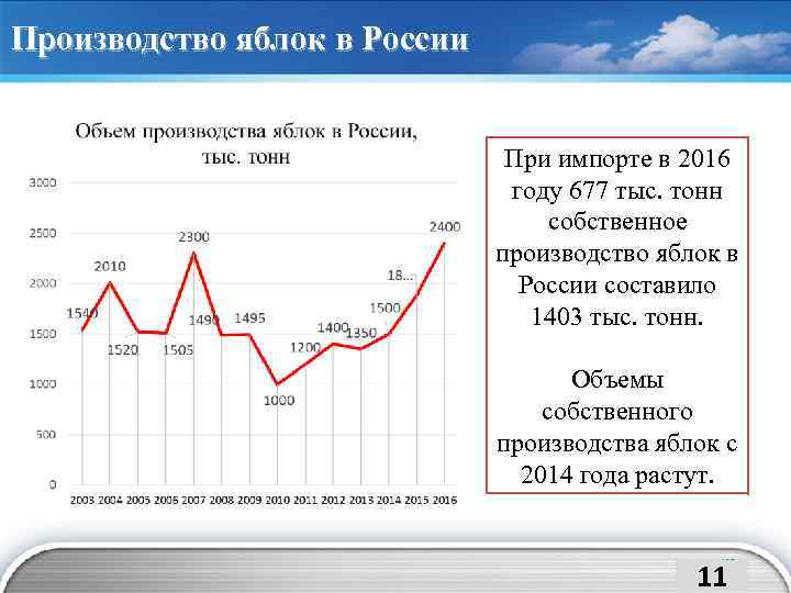 Производство яблок в России При импорте в 2016 году 677 тыс. тонн собственное производство