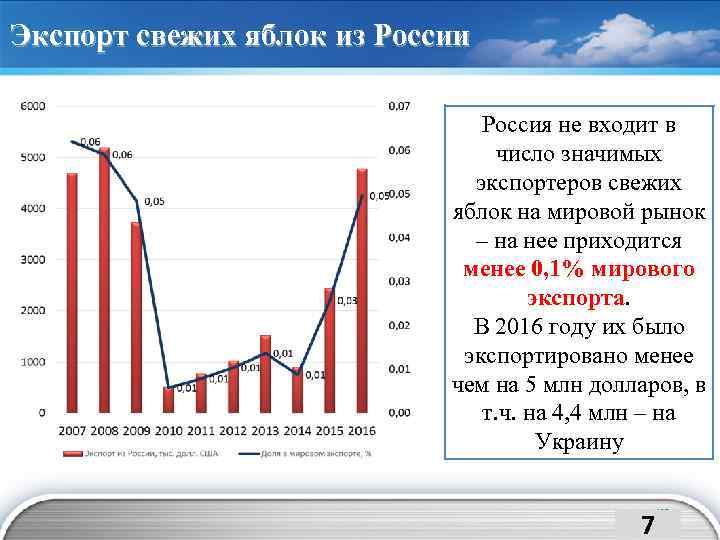 Экспорт свежих яблок из России Россия не входит в число значимых экспортеров свежих яблок