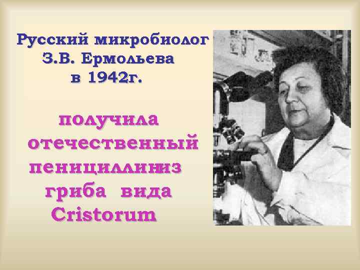 Русский микробиолог З. В. Ермольева в 1942 г. получила отечественный пенициллин из гриба вида