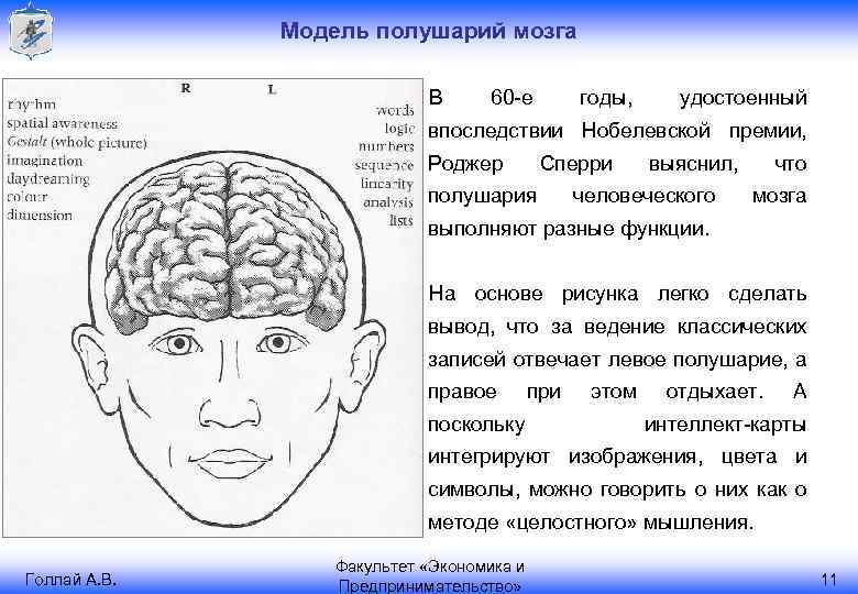 Модель полушарий мозга В 60 -е годы, удостоенный впоследствии Нобелевской премии, Роджер Сперри полушария