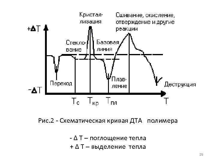 Рис. 2 Схематическая кривая ДТА полимера ∆ Т – поглощение тепла + ∆ Т