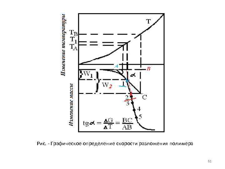 Рис. Графическое определение скорости разложения полимера 61 