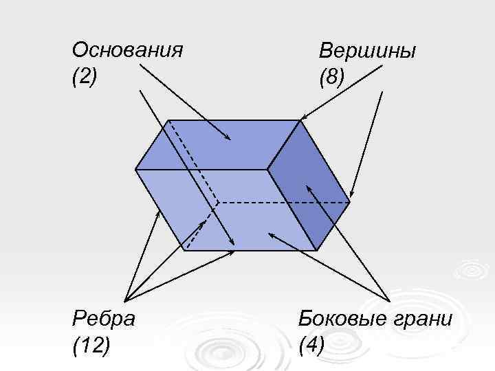 Основания (2) Ребра (12) Вершины (8) Боковые грани (4) 
