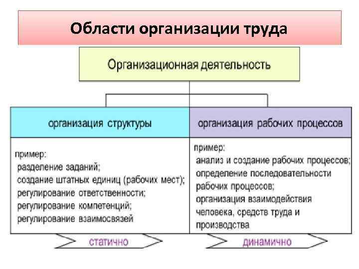 Области организации труда 