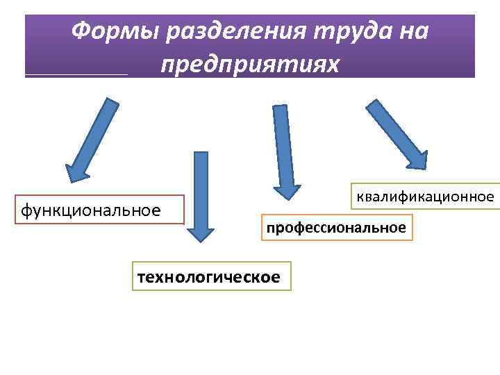 Формы разделения труда на предприятиях функциональное квалификационное профессиональное технологическое 