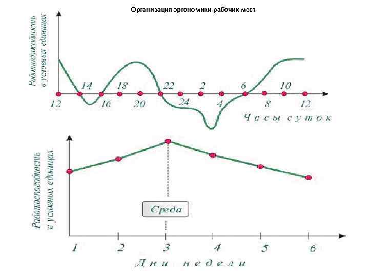 Организация эргономики рабочих мест 