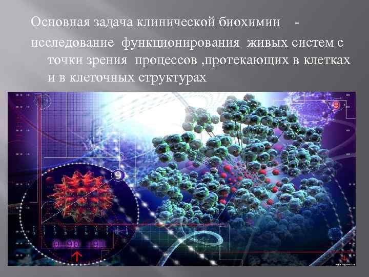 Основная задача клинической биохимии исследование функционирования живых систем с точки зрения процессов , протекающих
