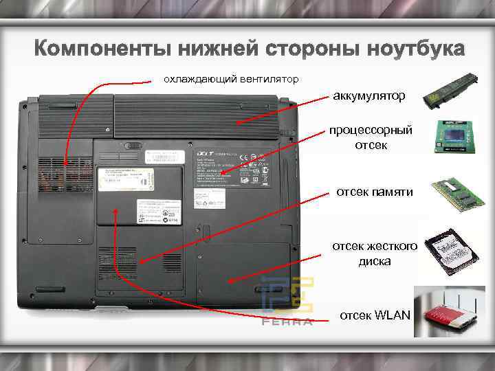 Компоненты нижней стороны ноутбука охлаждающий вентилятор аккумулятор процессорный отсек памяти отсек жесткого диска отсек