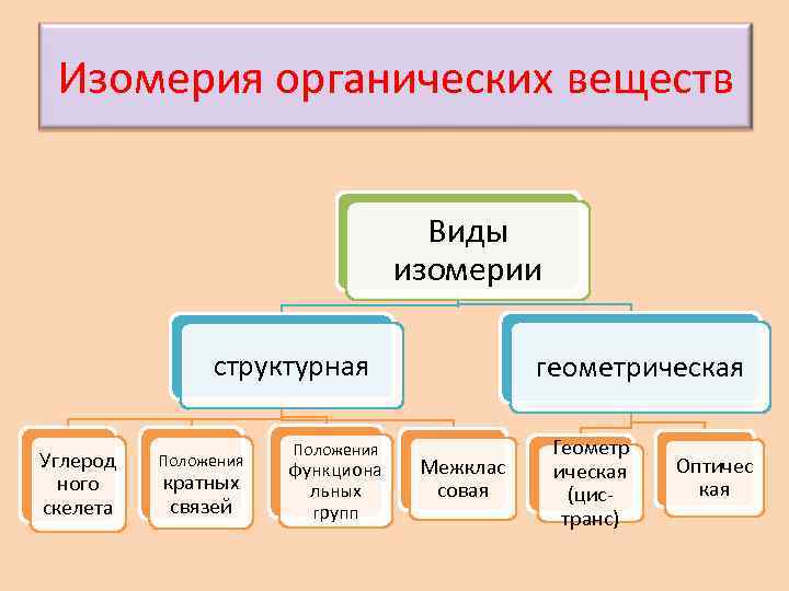 Изомерия органических веществ Виды изомерии структурная Углерод ного скелета Положения кратных связей Положения функциона