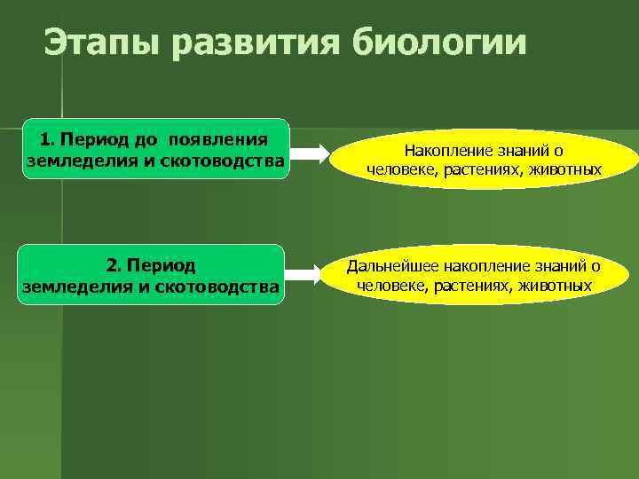 Этапы развития биологии 1. Период до появления земледелия и скотоводства 2. Период земледелия и