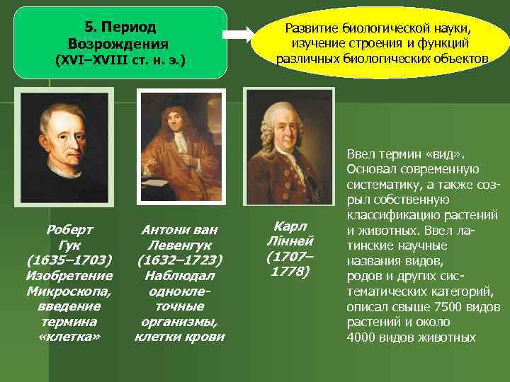 5. Период Возрождения (ХVІ–XVІІІ ст. н. э. ) Роберт Гук (1635– 1703) Изобретение Микроскопа,