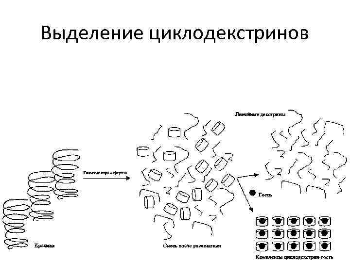 Выделение циклодекстринов 